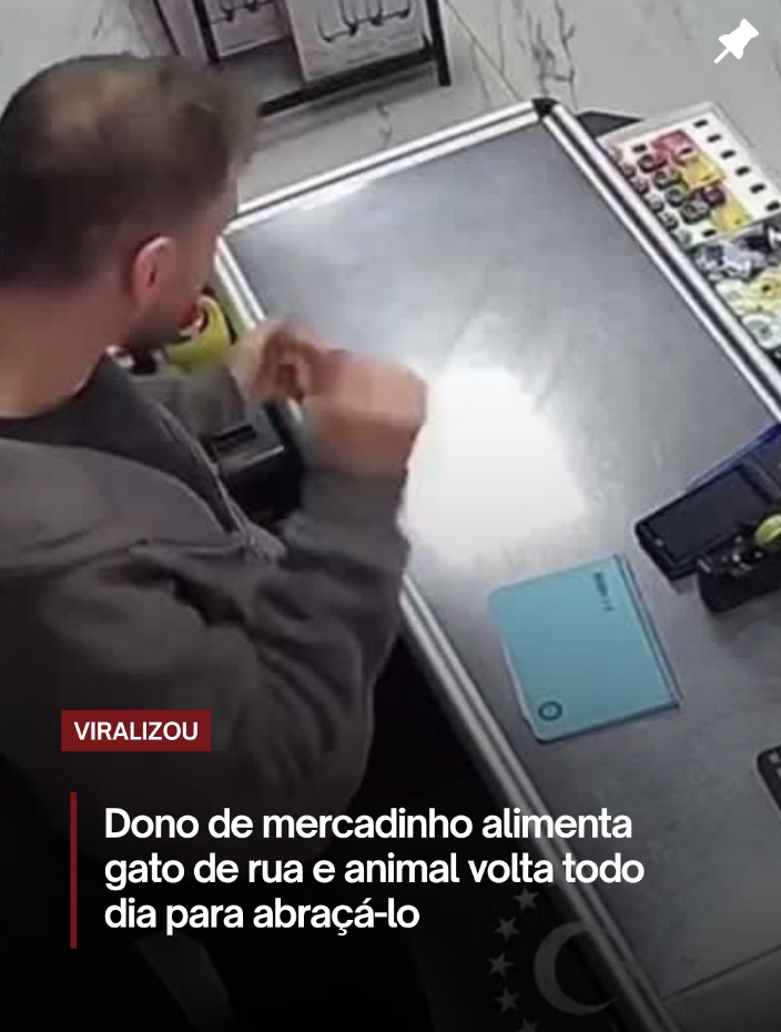 Gato do mercadinho